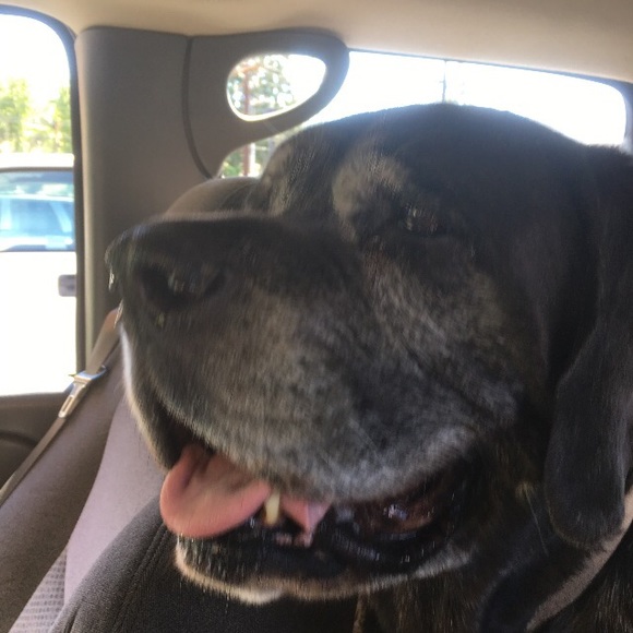 Meet your Posher, Jan - Picture 4 of 7